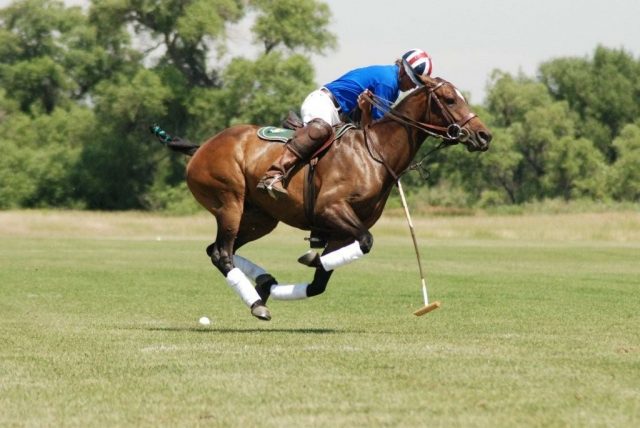 Willow Bend Polo Club - Mothers Day Match
